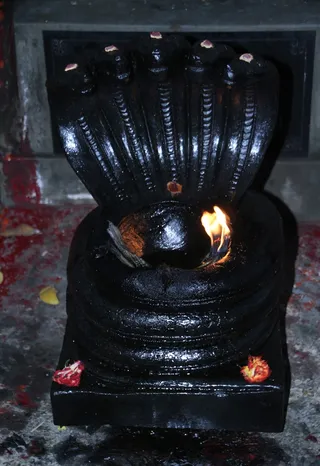http://nithyananda.org/sites/default/files/photo-gallery/2015-01jan-01st-nithyananda-diary_IMG_0319_bidadi.JPG