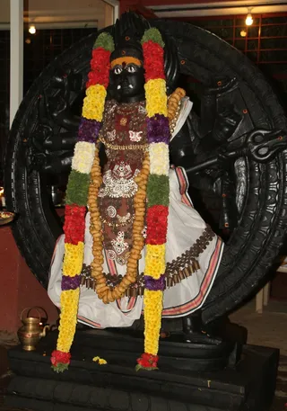 http://nithyananda.org/sites/default/files/photo-gallery/2015-01jan-02rd-nithyananda-diary_IMG_0492_bidadi-kala-bhairava-pujas.JPG