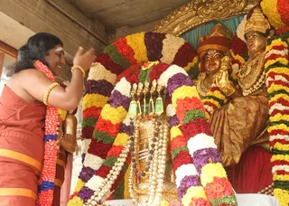 http://nithyananda.org/sites/default/files/photo-gallery/2015-01jan-04th-nithyananda-diary_IMG_2598_bidadi-jayanthi-bramhotsava.JPG