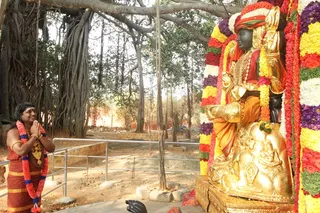 http://nithyananda.org/sites/default/files/photo-gallery/2015-01jan-04th-nithyananda-diary_IMG_2677_bidadi-jayanthi-bramhotsava.JPG