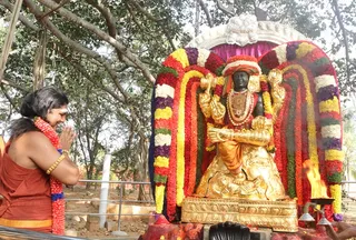 http://nithyananda.org/sites/default/files/photo-gallery/2015-01jan-04th-nithyananda-diary_IMG_2717_bidadi-jayanthi-bramhotsava.JPG