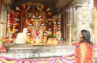 http://nithyananda.org/sites/default/files/photo-gallery/2015-01jan-04th-nithyananda-diary_IMG_2738_bidadi-jayanthi-bramhotsava.JPG