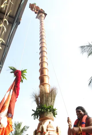 http://nithyananda.org/sites/default/files/photo-gallery/2015-01jan-04th-nithyananda-diary_IMG_2784_bidadi-dhwajarohnam.JPG