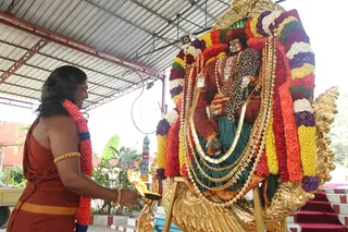http://nithyananda.org/sites/default/files/photo-gallery/2015-01jan-04th-nithyananda-diary_IMG_2900_bidadi-jayanthi-bramhotsava.JPG