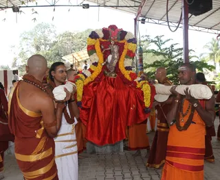 Arudra Darisanam Palanquin Procession
