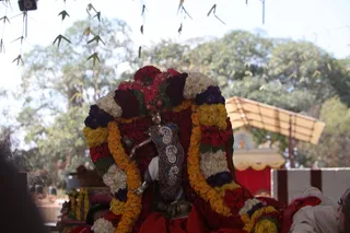 http://nithyananda.org/sites/default/files/photo-gallery/2015-01jan-05th-nithyananda-diary_IMG_3008_bidadi-temple-arudra-darisanam-natarajar-on-palanquin.JPG
