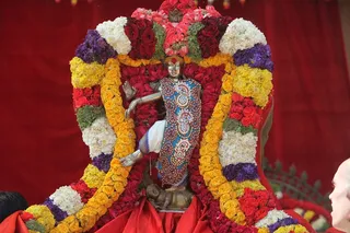 http://nithyananda.org/sites/default/files/photo-gallery/2015-01jan-05th-nithyananda-diary_IMG_3016_bidadi-temple-arudra-darisanam-natarajar-on-palanquin.JPG