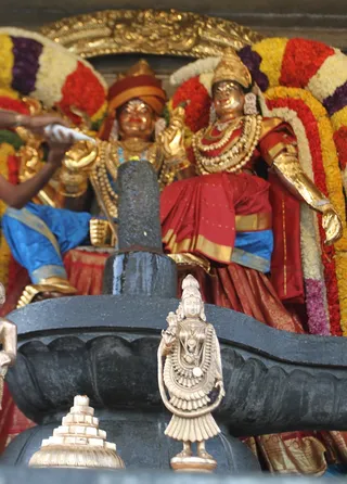 http://nithyananda.org/sites/default/files/photo-gallery/2015-01jan-06th-nithyananda-diary_IMG_3313_bidadi-shankabhiskekam.JPG
