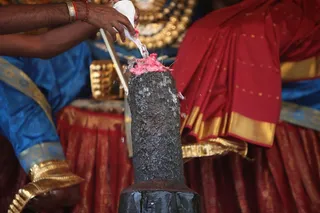 http://nithyananda.org/sites/default/files/photo-gallery/2015-01jan-06th-nithyananda-diary_IMG_3330_bidadi-shankabhiskekam.JPG