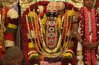 http://nithyananda.org/sites/default/files/photo-gallery/2015-01jan-09th-nithyananda-diary_IMG_3875_bidadi-kalyanotsava_2.JPG