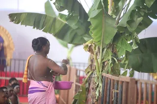 http://nithyananda.org/sites/default/files/photo-gallery/2015-01jan-12th-nithyananda-diary_IMG_5361_bidadi-atirudra-mahayaga-day2.JPG
