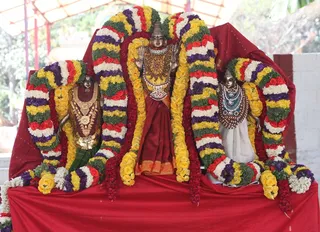 http://nithyananda.org/sites/default/files/photo-gallery/2015-01jan-12th-nithyananda-diary_IMG_5591_bidadi-atirudra-mahayaga-day2.JPG
