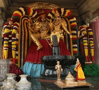 13 ஜனவரி 2015 உலக அமைதிக்கான பங்களிப்பு