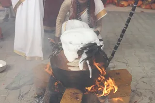 http://nithyananda.org/sites/default/files/photo-gallery/2015-01jan-15th-nithyananda-diary_IMG_8804_bidadi-pongal-celebration.JPG