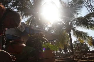 Swamis of Nithyananda Ashram celebrating Mattu Pongal