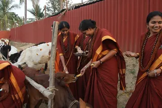 http://nithyananda.org/sites/default/files/photo-gallery/2015-01jan-16th-nithyananda-diary_IMG_9337_bidadi-mattupongal.JPG