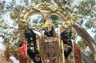 http://nithyananda.org/sites/default/files/photo-gallery/2015-02feb-14th-nithyananda-diary_IMG_6274_bidadi-temple-venkteshwara.JPG