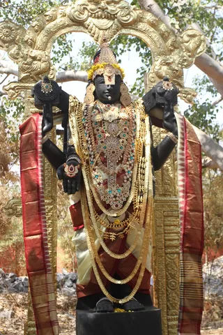 http://nithyananda.org/sites/default/files/photo-gallery/2015-02feb-14th-nithyananda-diary_IMG_6277_bidadi-temple-venkteshwara.JPG