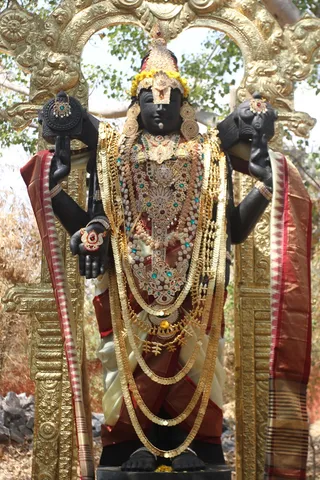 http://nithyananda.org/sites/default/files/photo-gallery/2015-02feb-14th-nithyananda-diary_IMG_6287_bidadi-temple-venkteshwara.JPG