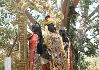 http://nithyananda.org/sites/default/files/photo-gallery/2015-02feb-14th-nithyananda-diary_IMG_6291_bidadi-temple-venkteshwara.JPG