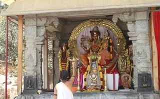 http://nithyananda.org/sites/default/files/photo-gallery/2015-02feb-14th-nithyananda-diary_IMG_6315_bidadi-sri%20nithyanandeshwara%20temple.JPG