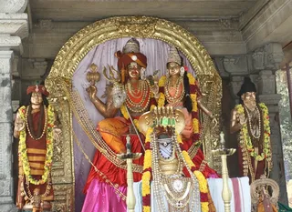 http://nithyananda.org/sites/default/files/photo-gallery/2015-02feb-14th-nithyananda-diary_IMG_6316_bidadi-sri%20nithyanandeshwara%20temple.JPG