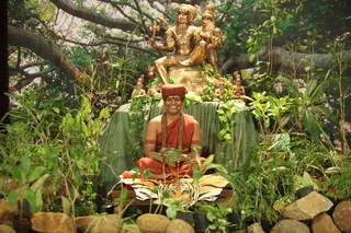 http://nithyananda.org/sites/default/files/photo-gallery/2015-02feb-24th-nithyanda-diary_IMG_0153_bidadi-satsang-swamiji.JPG