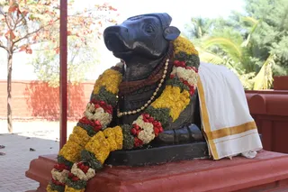http://nithyananda.org/sites/default/files/photo-gallery/2015-02feb-24th-nithyanda-diary_IMG_0455_bidadi-ananda-nandi.JPG