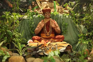http://nithyananda.org/sites/default/files/photo-gallery/2015-03mar-03rd-nithyananda-diary_IMG_2201_bidadi-nithya-satsang-swamiji.JPG