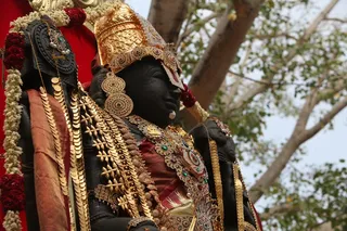 http://nithyananda.org/sites/default/files/photo-gallery/2015-03mar-03rd-nithyananda-diary_IMG_2293_bidadi-lord-venkateswara_0.JPG