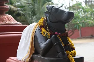 http://nithyananda.org/sites/default/files/photo-gallery/2015-03mar-03rd-nithyananda-diary_IMG_2324_bidadi-ananda%20nandi.JPG