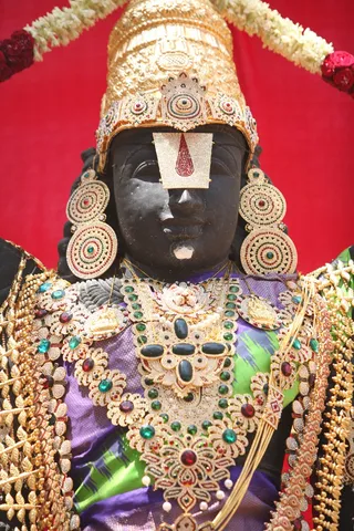 http://nithyananda.org/sites/default/files/photo-gallery/2015-03mar-11th-nithyananda-diary_IMG_4314_bidadi-temple-lord-venkataswara.JPG
