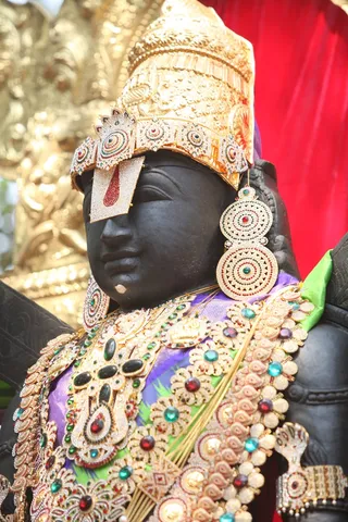 http://nithyananda.org/sites/default/files/photo-gallery/2015-03mar-23rd-nithyananda-diary_IMG_5835_bidadi-temple-lord-venkataswara.JPG