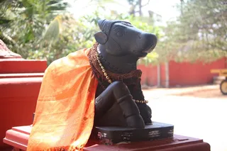 http://nithyananda.org/sites/default/files/photo-gallery/2015-03mar-26th-nithyananda-diary_IMG_6269_bidadi-temple-sanctum-ananda%20nandi.JPG