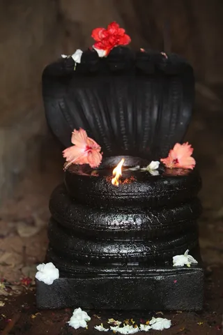http://nithyananda.org/sites/default/files/photo-gallery/2015-04apr-06th-nithyananda-diary_IMG_8129_bidadinaga-dheepam.JPG