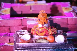 http://nithyananda.org/sites/default/files/photo-gallery/2015-05may-26th-nithyanda-diary_IMG_5514_varanasai-rudra-homa-swamiji.JPG