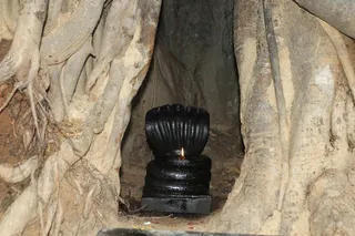 http://nithyananda.org/sites/default/files/photo-gallery/2015-06jun-11th-nithyananda-diary_IMG_8079_bidadi-temple-sanctum-nithyanandeshwara-nithyanandeshwari-swayambu-lingam.JPG