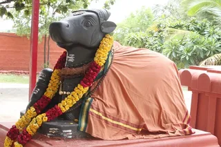 http://nithyananda.org/sites/default/files/photo-gallery/2015-06jun-16th-photosIMG_9291_bidadi-temple-ananda-nandi.JPG