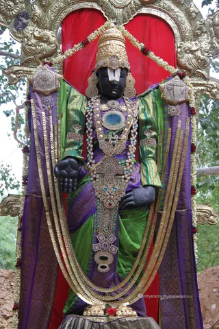 http://nithyananda.org/sites/default/files/photo-gallery/2015-06jun-25th-nithyananda-diary_IMG_0937_bidadi-temple-lord-venkataswara.JPG