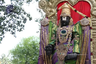 http://nithyananda.org/sites/default/files/photo-gallery/2015-06jun-25th-nithyananda-diary_IMG_0942_bidadi-temple-lord-venkataswara.JPG