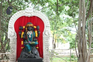 http://nithyananda.org/sites/default/files/photo-gallery/2015-06jun-26th-nithyananda-diary_IMG_1550_bidadi-temple-dakshinamoorthi.JPG