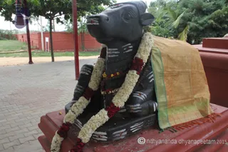 http://nithyananda.org/sites/default/files/photo-gallery/2015-06jun-27th-nithyananda-diary_IMG_9776_bidadi-temple-ananda-nandi.JPG