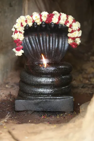 http://nithyananda.org/sites/default/files/photo-gallery/2015-06june-6th-nithyananda-diary_IMG_7416_bidadi-temple-naga%20-dheepam.JPG