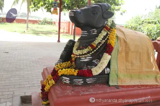 http://nithyananda.org/sites/default/files/photo-gallery/2015-07jul-01st-nithyananda-diary_IMG_9970_bidadi-temple-anandanandi.JPG