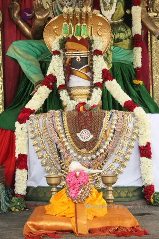 http://nithyananda.org/sites/default/files/photo-gallery/2015-07jul-02nd-nithyananda-diary_IMG_9990_bidadi-temple-suyambulingam.JPG