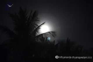 Photo 11695128