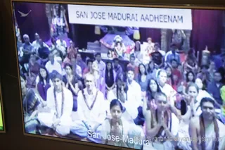 Photo 11695142
