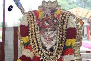 http://nithyananda.org/sites/default/files/photo-gallery/2015-09sep-08th_nithyanda-diary_IMG_3504_bidadi-ganesha-brahmotsav.JPG