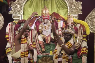 http://nithyananda.org/sites/default/files/photo-gallery/2015-10oct-18th-nithyananda-diary_IMG_7960_varanasi-ia-meenakshi-thirukalyanam-homa.JPG