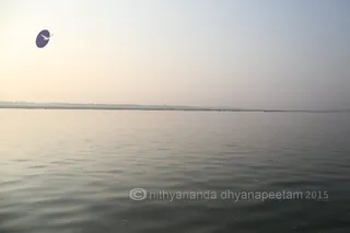 Photo 11695916